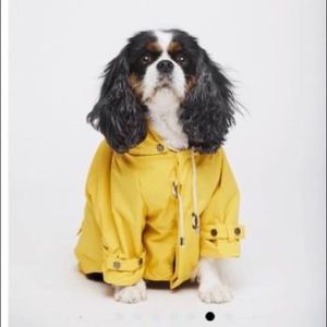 Maxbone yellow raincoat sz XL